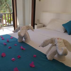 Duplex Suite