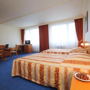 Executive Double or Twin Room with Free Parking