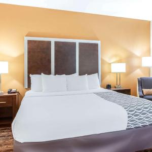 King Room with Roll-In Shower - Mobility/Hearing Accessible - Non-Smoking