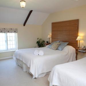 Family Room (2 Adults + 1 Child)