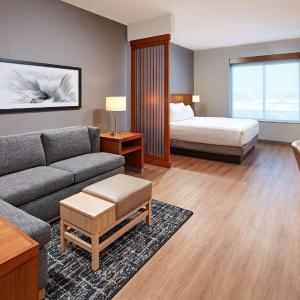 King Room with Sofa Bed and Accessible Tub - Disability Access