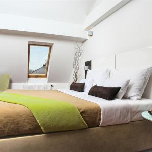 One-Bedroom Apartment with View - Attic