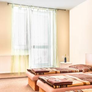 Triple Room with Terrace