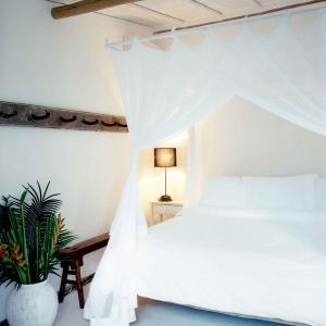 Two-Suite House – Zé e Zilda UXUA