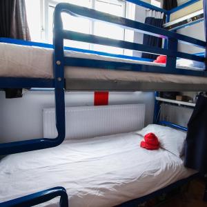 Bed in 6-Bed Mixed Dormitory Room