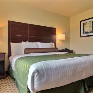 King Room - Disability Access