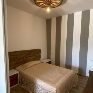 Family Studio
