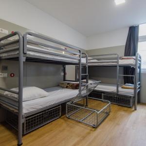 6-Bed Mixed Dormitory Room