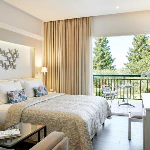 Superior Double or Twin Room with Garden View