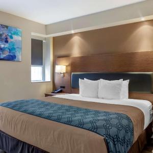 King Room - Non-Smoking