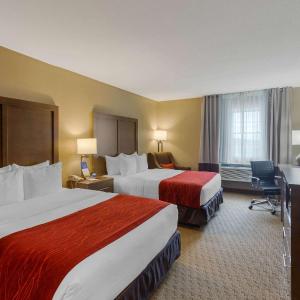 Queen Room with Two Queen Beds - Non-Smoking
