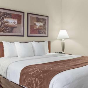 King Room with Roll-In Shower - Accessible/Non-Smoking