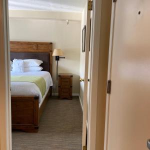 Deluxe One-Bedroom Apartment