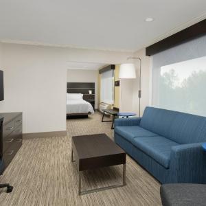 One-Bedroom King Suite