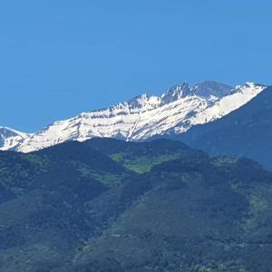 Suite with Mountain View