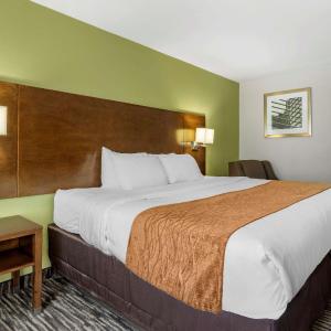 King Room - Accessible/Non-Smoking