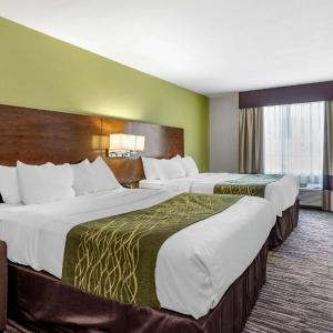 Queen Room with Two Queen Beds - Non-Smoking