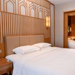 Deluxe King Room with Mountain View