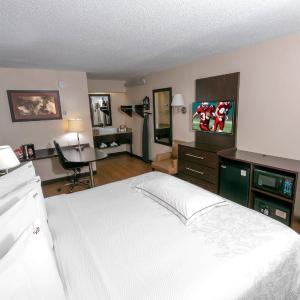 Premium King Room Smoke Free (Upgraded Bedding & Snack Box)