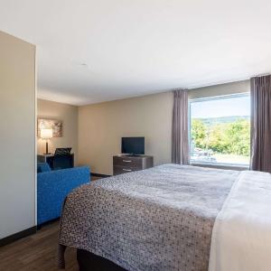 King Suite with Sofa Bed - Non-Smoking