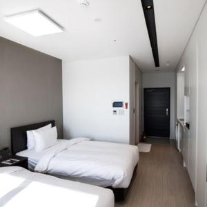Deluxe Twin Room with Lake View