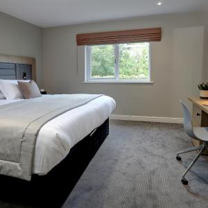 Executive Double Room