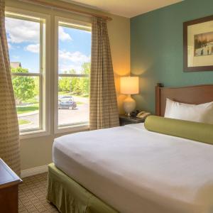 One-Bedroom Suite