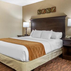 King Room with Roll-In Shower - Accessible/Non-Smoking