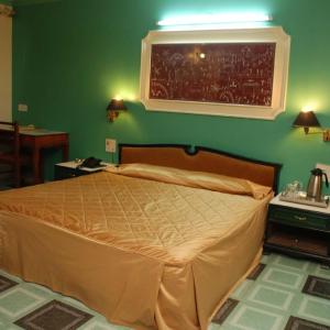 Superior Deluxe Double or Twin Ac Room 