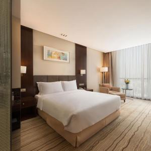 Standard King Room with City View