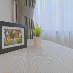Executive Corner with Two Double Beds