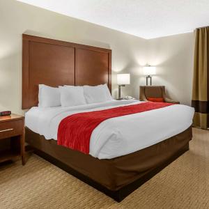 King Room - Accessible/Non-Smoking