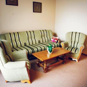 One-Bedroom Apartment with Sofa Bed