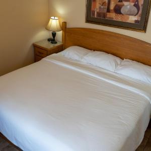 Three-Bedroom Suite