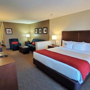 King Room with Sofa Bed - Mobility Accessible/Non-Smoking