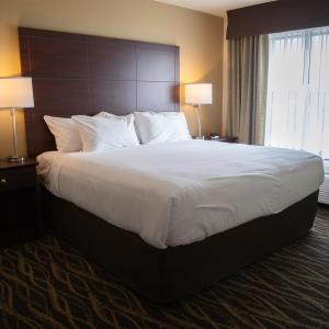 Suite with Lake View