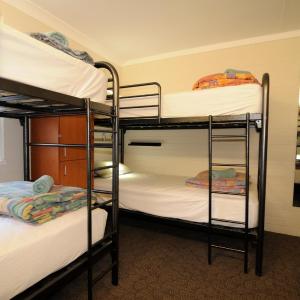 Bed in 6-Bed Dormitory Room