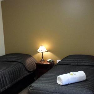 Deluxe Family Suite (1 Queen & 3 Singles)