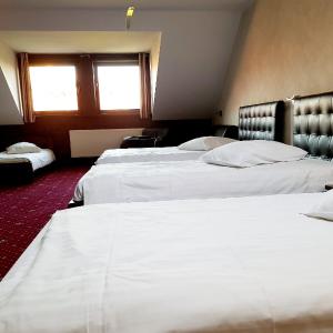 Family Room (4 Adults)