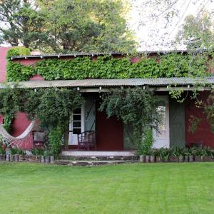 Family Bungalow