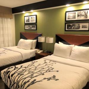 Double Room - Non-Smoking 