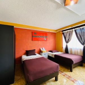 Single Bed in Female Dormitory Room