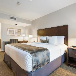One Bedroom Suite - Kitchenette