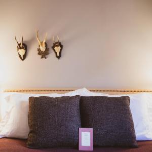 Queen Suite