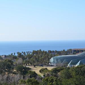 Hollywood King Room with Sea View