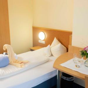 Comfort Single Room