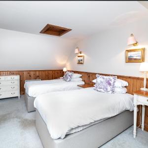 Double / Twin Suite 