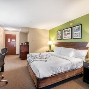 King Room - Accessible/Non-Smoking