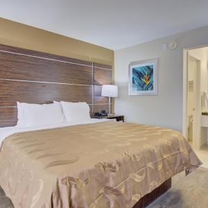 Deluxe King Suite