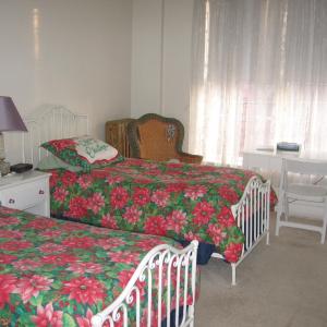 Standard Single Room with Two Single Beds